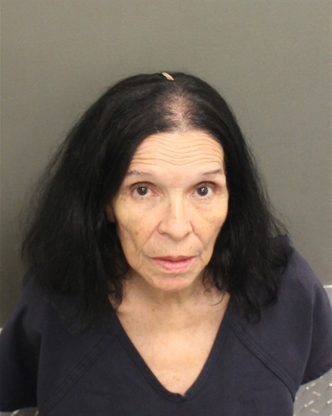  BLANCA BELKI CARRILLODEPEREZ Mugshot / County Arrests / Orange County Arrests