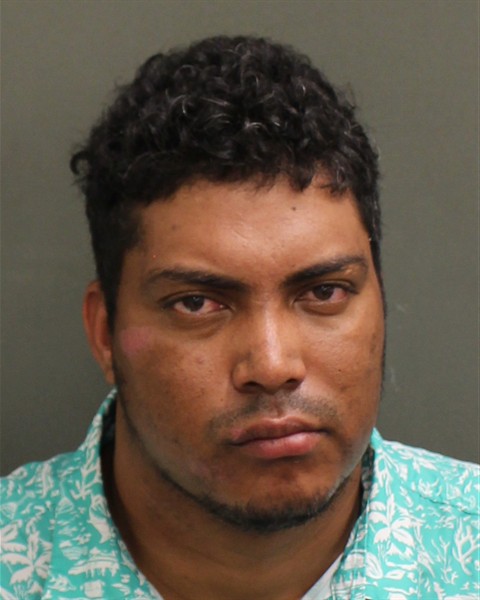  JOSE AMAURY ROSARIOVILLAR Mugshot / County Arrests / Orange County Arrests