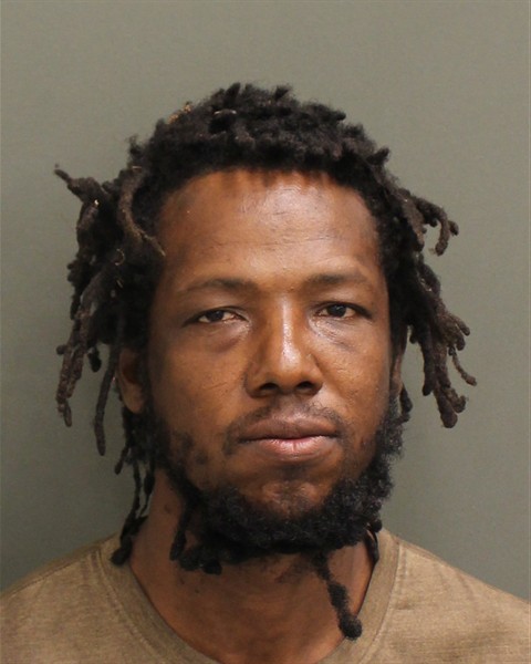  RAY DELIAN Mugshot / County Arrests / Orange County Arrests