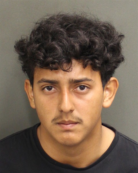  DIEGO ANTONIO ARITALARA Mugshot / County Arrests / Orange County Arrests
