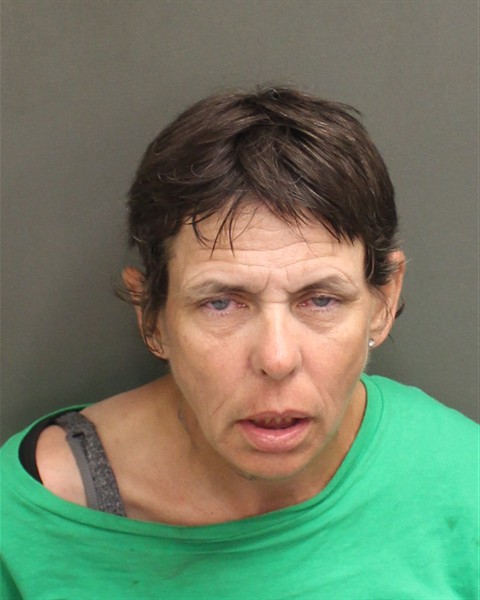  TONYA RENEE TINCH Mugshot / County Arrests / Orange County Arrests