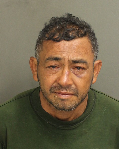  NELSON CALCON Mugshot / County Arrests / Orange County Arrests