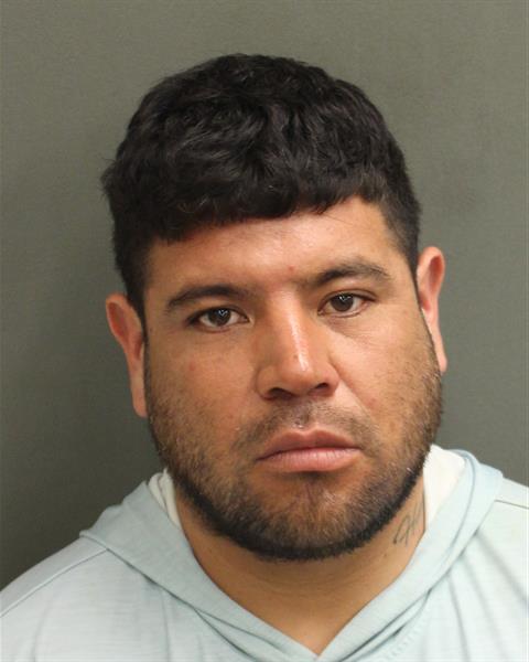  LUIS HERNANDEZHERNANDEZ Photo Image