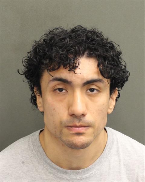  LUIS GUILLERMO MELENDEZ Mugshot / County Arrests / Orange County Arrests
