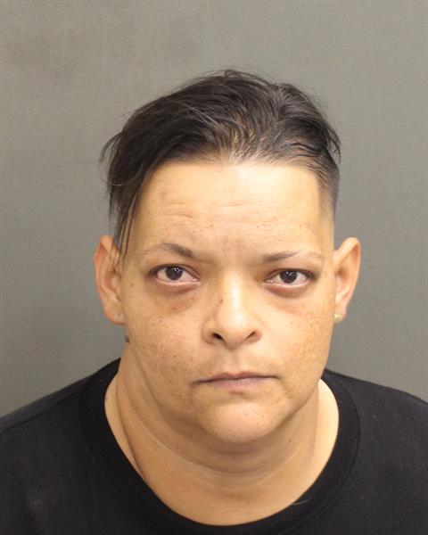  AMARYS C RIVERA Mugshot / County Arrests / Orange County Arrests