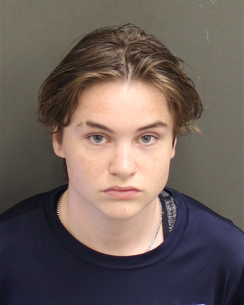  EMILY ELIZABETH SANDS Mugshot / County Arrests / Orange County Arrests