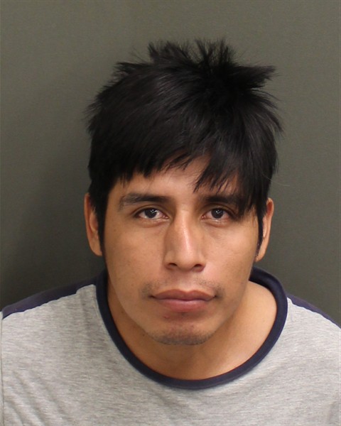  ELDER HERNANDEZBAMACA Mugshot / County Arrests / Orange County Arrests
