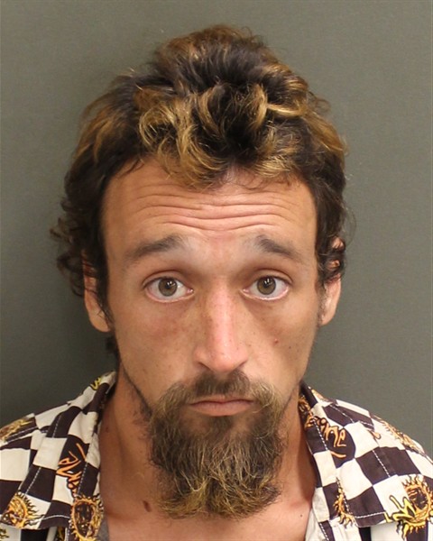  AARON ROBBIN PATE Mugshot / County Arrests / Orange County Arrests
