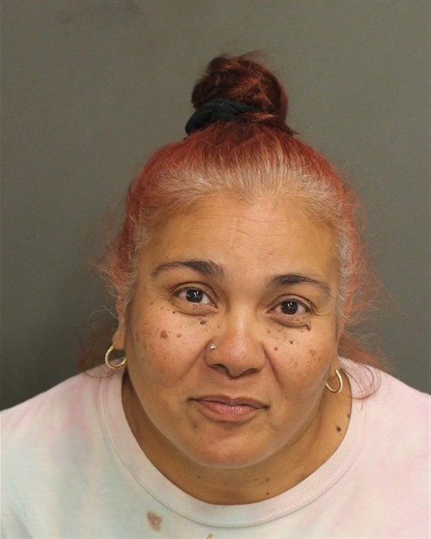  VERONICA ESPERANZA ROJAS Mugshot / County Arrests / Orange County Arrests