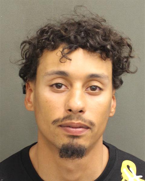  DAVID LAMB Mugshot / County Arrests / Orange County Arrests