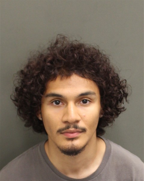  WILLIAM MAURICIO JR TORO Mugshot / County Arrests / Orange County Arrests