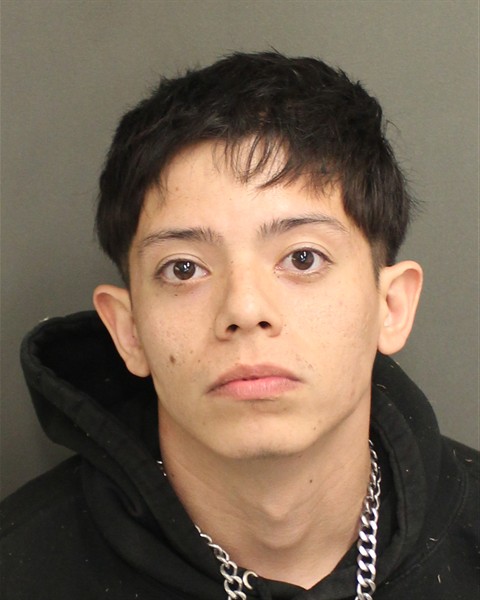  ANGEL ALEXIS SILVADIAZ Mugshot / County Arrests / Orange County Arrests