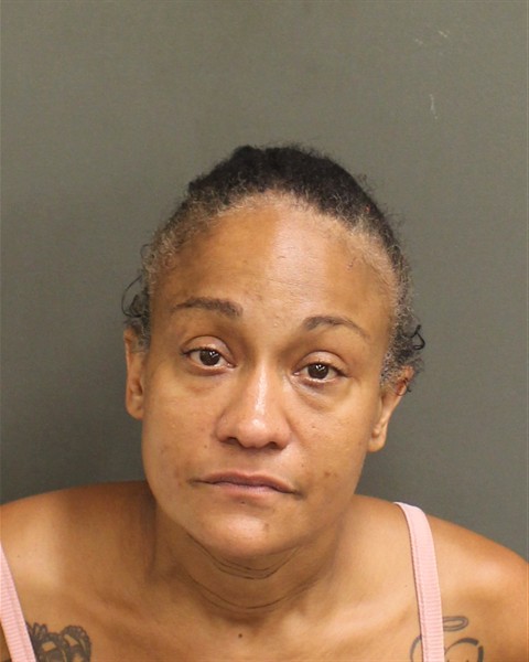  RAIZA RIVERAPIZARRO Mugshot / County Arrests / Orange County Arrests