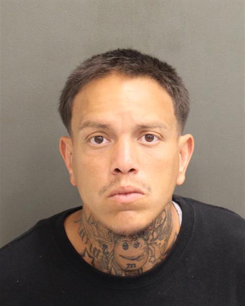  FRANCISCO LUIS NAVARRO Mugshot / County Arrests / Orange County Arrests