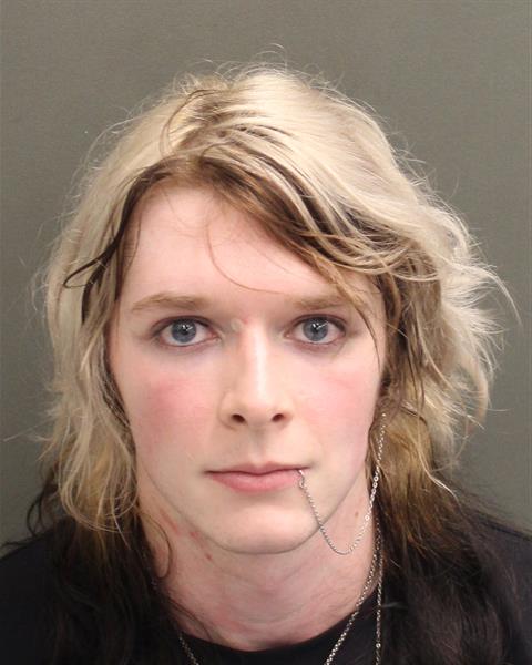  ALEXANDER VON ALLEN Mugshot / County Arrests / Orange County Arrests