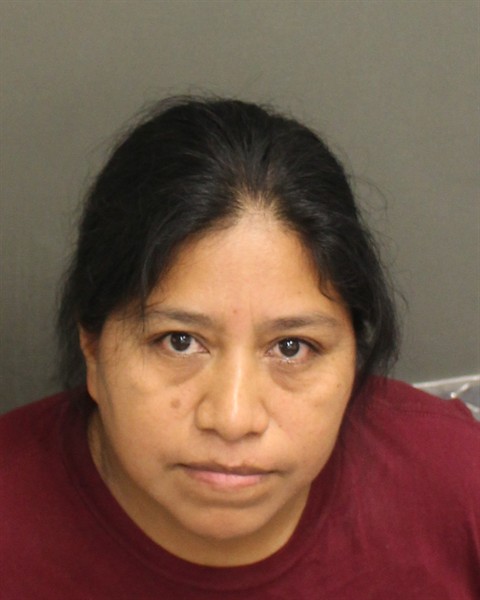  ROSSANA ADELA DOMINGODOMINGO Mugshot / County Arrests / Orange County Arrests