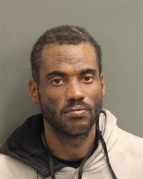  GIANNI ANDREW MERCURIUS Mugshot / County Arrests / Orange County Arrests