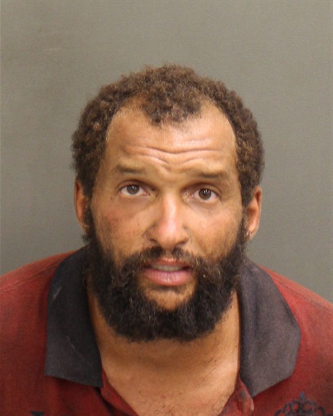  CLYDE DAVID JR WEBB Mugshot / County Arrests / Orange County Arrests