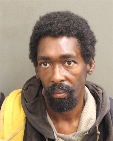  ERIC L HOLCOMB Mugshot / County Arrests / Orange County Arrests