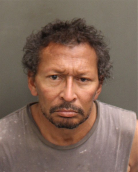  DAVID PEERY STONE Mugshot / County Arrests / Orange County Arrests
