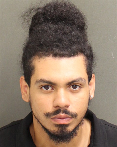 RAINALDO DEJESUS ORTIZ Mugshot / County Arrests / Orange County Arrests