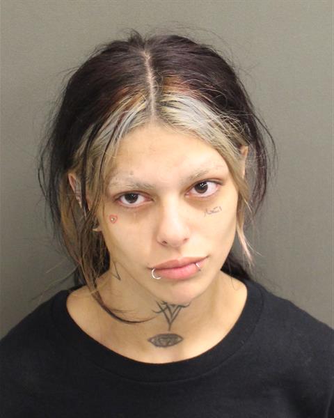  KATALINA E MEDRANO Mugshot / County Arrests / Orange County Arrests