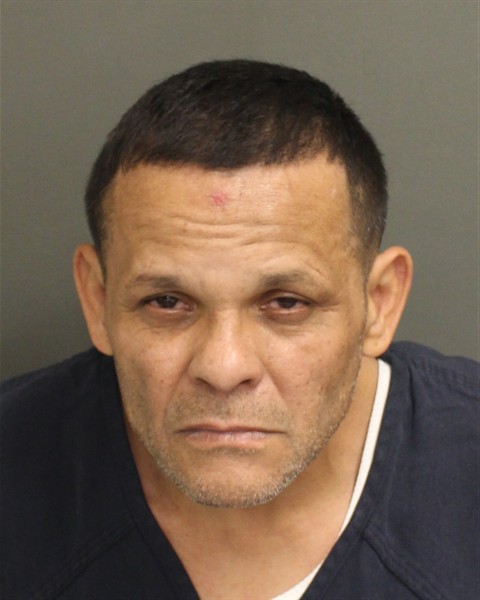  LUIS ENRIQUE TORRESVEGA Mugshot / County Arrests / Orange County Arrests
