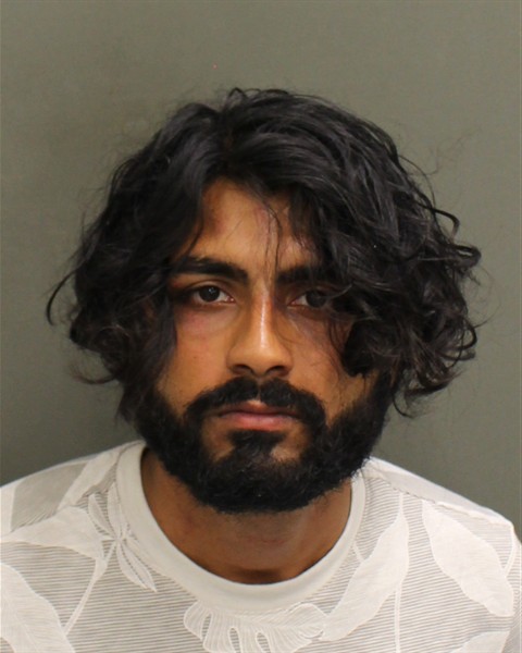  AKASH ANDREW ANAND Mugshot / County Arrests / Orange County Arrests