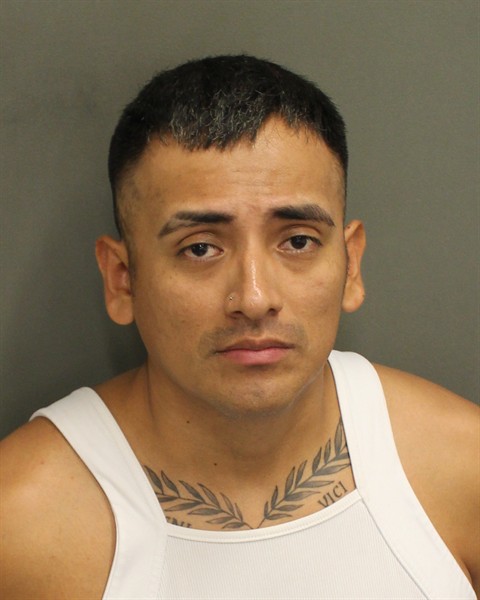  JOE MARTIN CARTOLINGARRIAZO Mugshot / County Arrests / Orange County Arrests