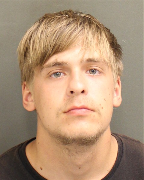  DAVID PETERVICH BULBA Mugshot / County Arrests / Orange County Arrests