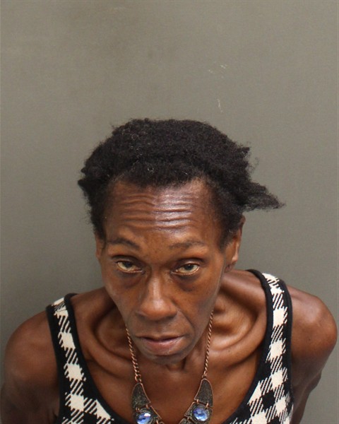 AMANDA SHERESA MCKINNON Mugshot / County Arrests / Orange County Arrests