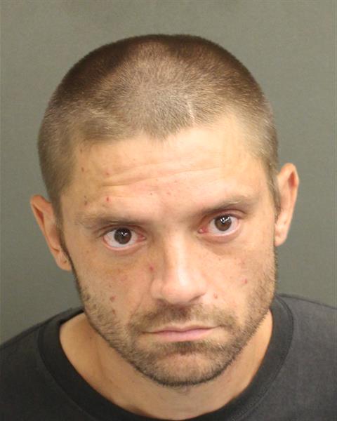  LUKAS CHRISTOPHER DAVIS Mugshot / County Arrests / Orange County Arrests