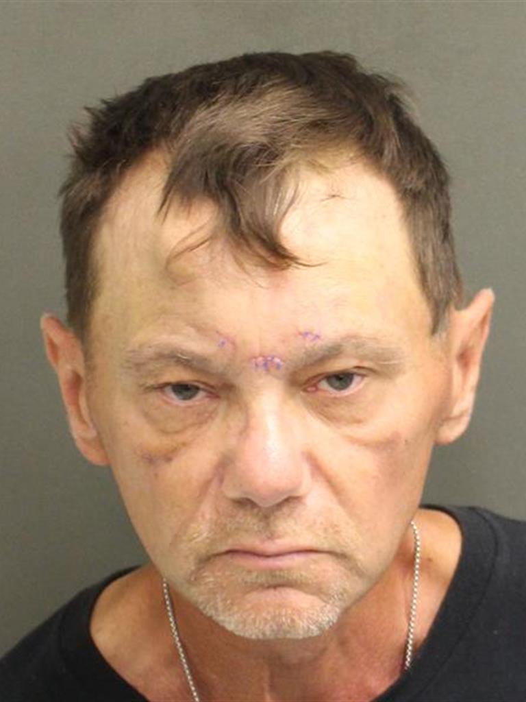  DAVID W BAIN Mugshot / County Arrests / Orange County Arrests