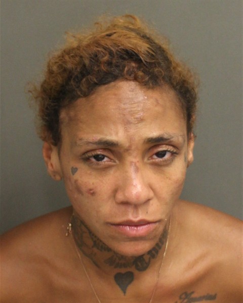  SABRINA ELAINE CAREY Mugshot / County Arrests / Orange County Arrests