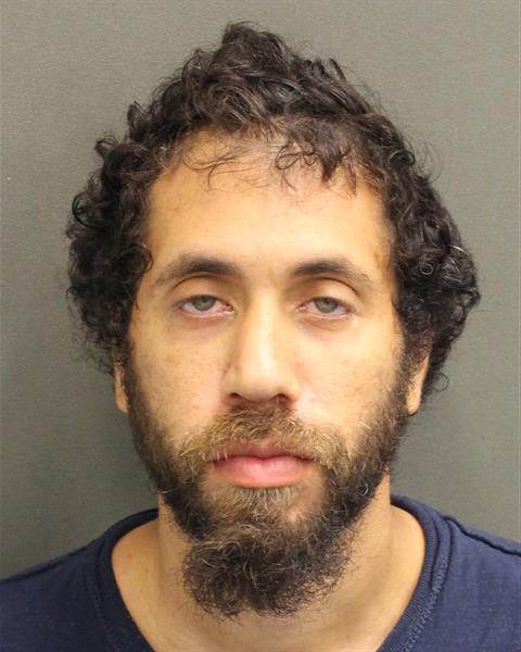  WILLIAM LUNA Mugshot / County Arrests / Orange County Arrests