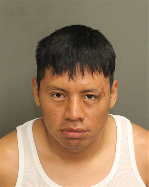  ROBERTO AMILCAR SALESSANCHEZ Mugshot / County Arrests / Orange County Arrests