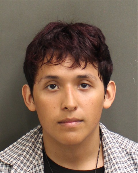  REY PATRICIO CRUZCASTREJON Mugshot / County Arrests / Orange County Arrests