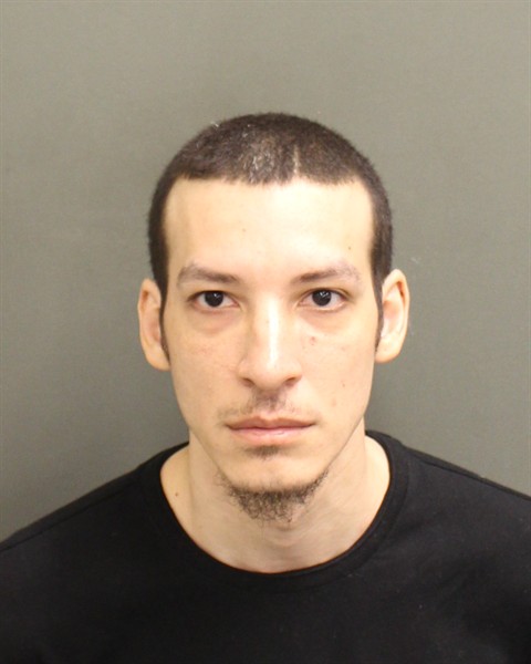  ELLIOT ANTHONY JR CASTILLOS Mugshot / County Arrests / Orange County Arrests