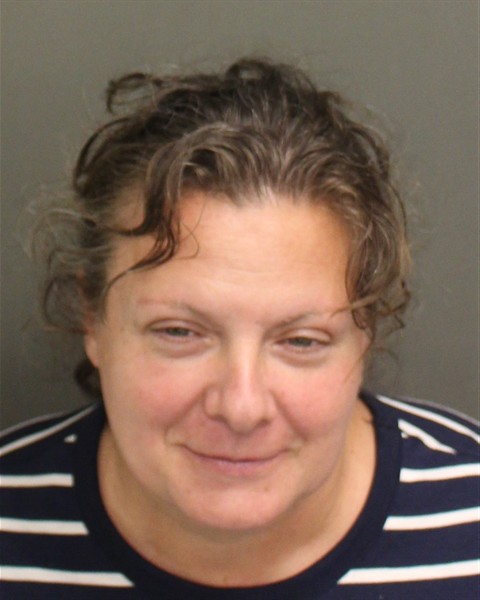  TAMARA VALESKA PALIN Mugshot / County Arrests / Orange County Arrests