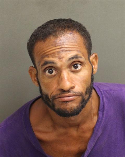 SEBASTIAN LUISMARTIN FERNANDEZ Mugshot / County Arrests / Orange County Arrests