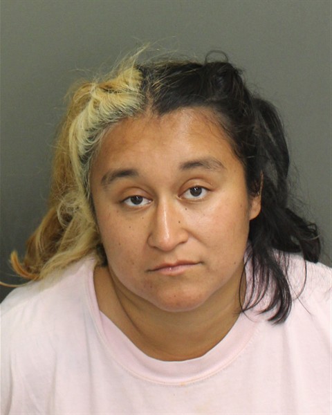  AUDREANA YASMINE NIEBLAS Mugshot / County Arrests / Orange County Arrests
