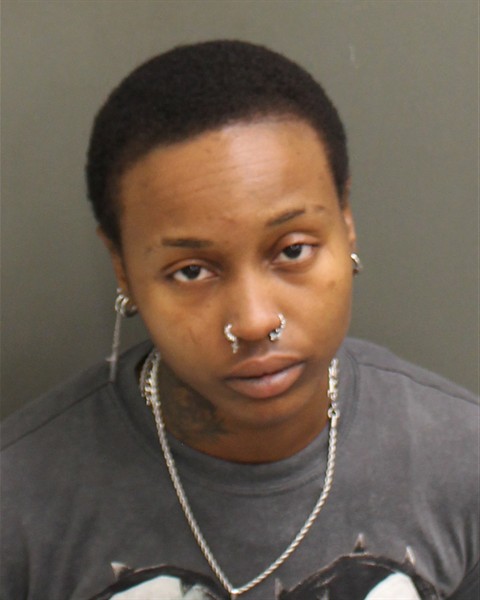  DENISE DENAY HESTER Mugshot / County Arrests / Orange County Arrests
