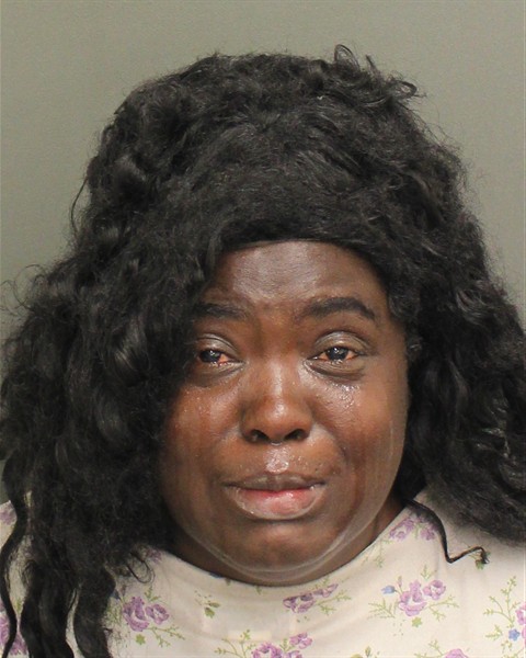  ERICA LOUISE WILSON Mugshot / County Arrests / Orange County Arrests