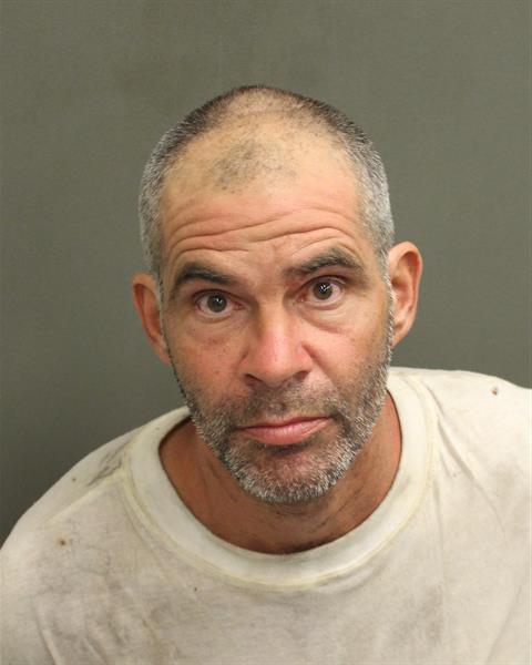  MICHAEL LAWRENCE VOISINE Mugshot / County Arrests / Orange County Arrests