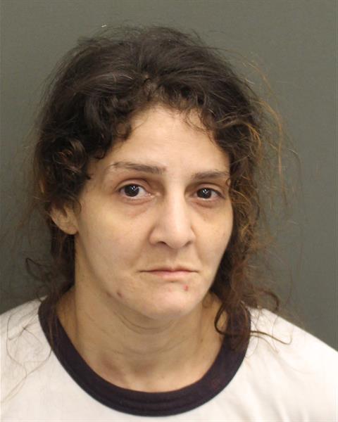  DELIZ IRIZZARYRODRIGUEZ Mugshot / County Arrests / Orange County Arrests