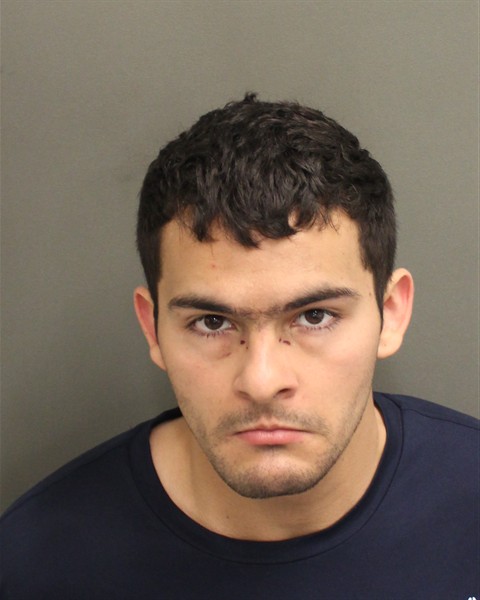  LOIC SEBASTIAN PALINVALENTINO Mugshot / County Arrests / Orange County Arrests