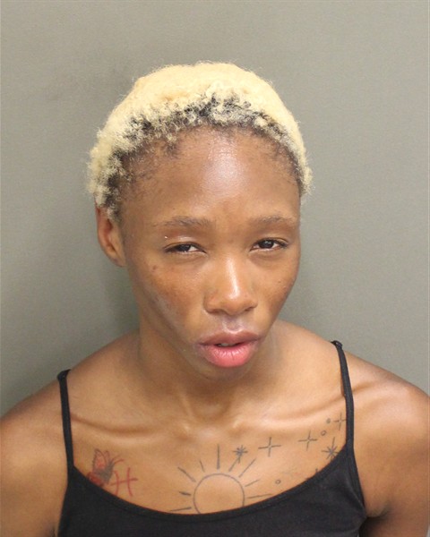  DAISHA LAW Mugshot / County Arrests / Orange County Arrests