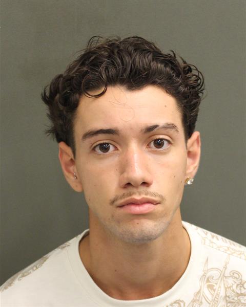  LEONARDO VIEIRA Mugshot / County Arrests / Orange County Arrests
