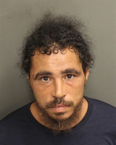 REINALDO RICHARD HIDALGO Mugshot / County Arrests / Orange County Arrests