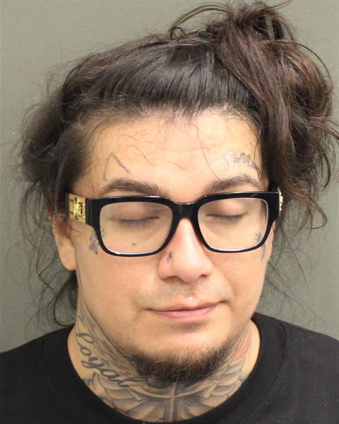  ADAHMA XAVIER SIROTA Mugshot / County Arrests / Orange County Arrests